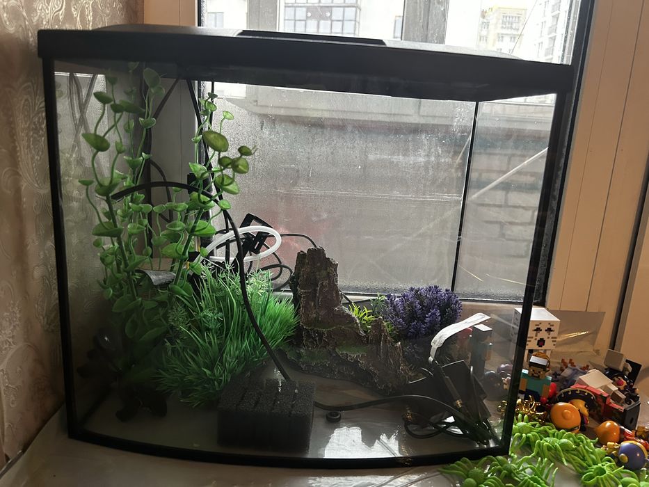 Аквариум з усім необхідним