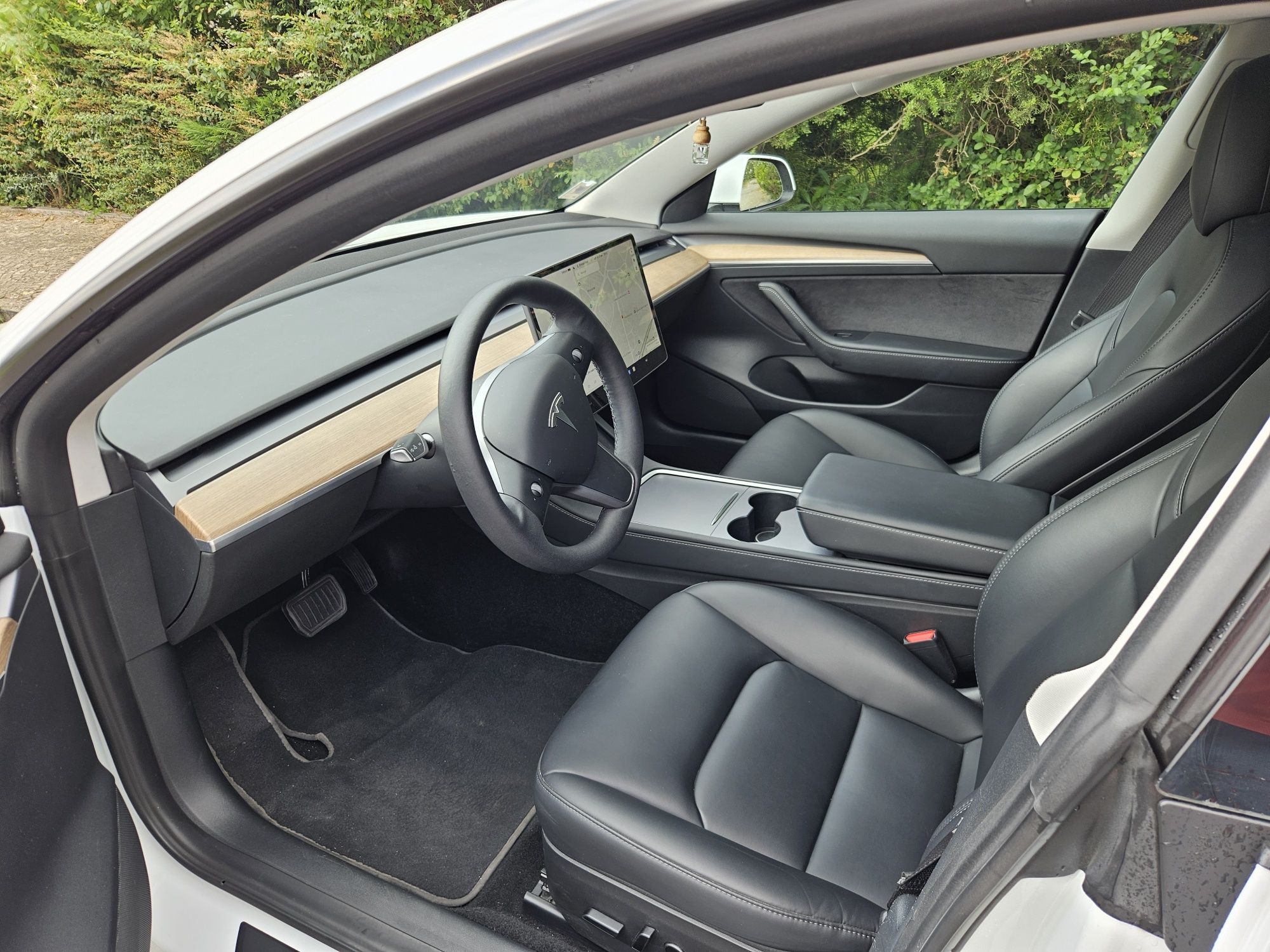 Tesla 3 standard  range plus