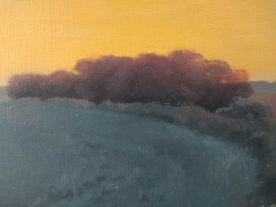 Dzika róża - obraz - olej na płótnie - 65x81cm