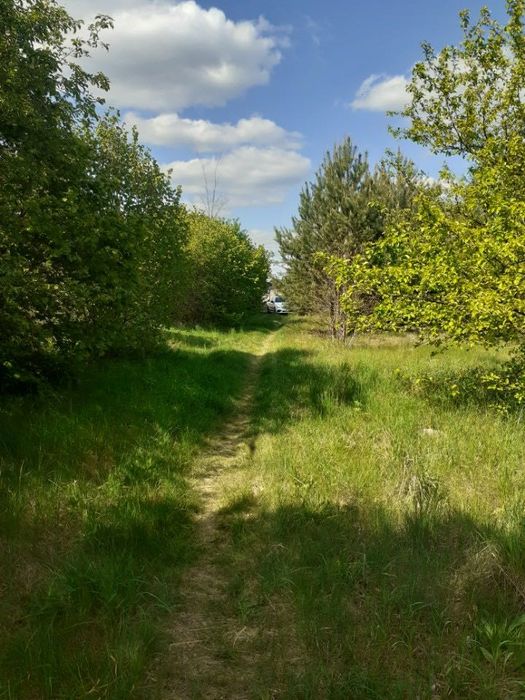 sprzedam działki rolne budowlane siedlisko kamionna koło łochowa