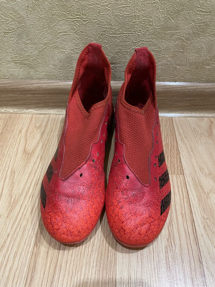 Бутси adidas predator