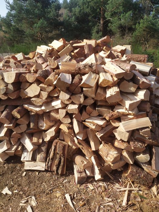 Sprzedam drewno iglaste i liściaste opalowe