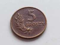 Moneta 5 groszy 1949 r