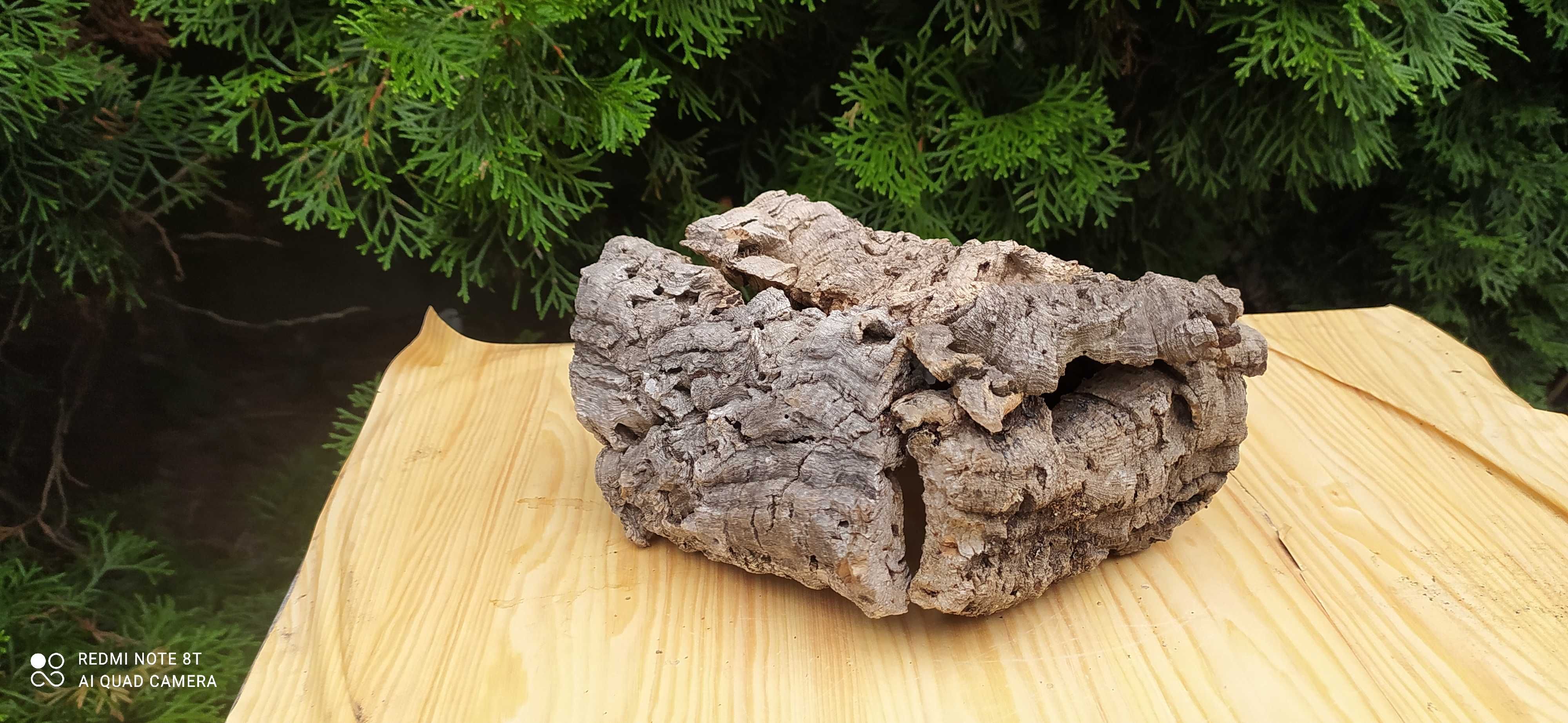 Grota z dębu korkowego do terrarium