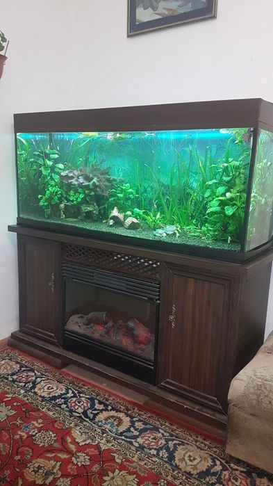 Продам акваріум .