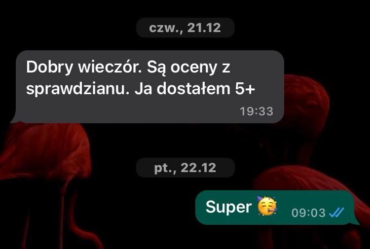 Korepetycje z języka angielskiego oraz matematyki.