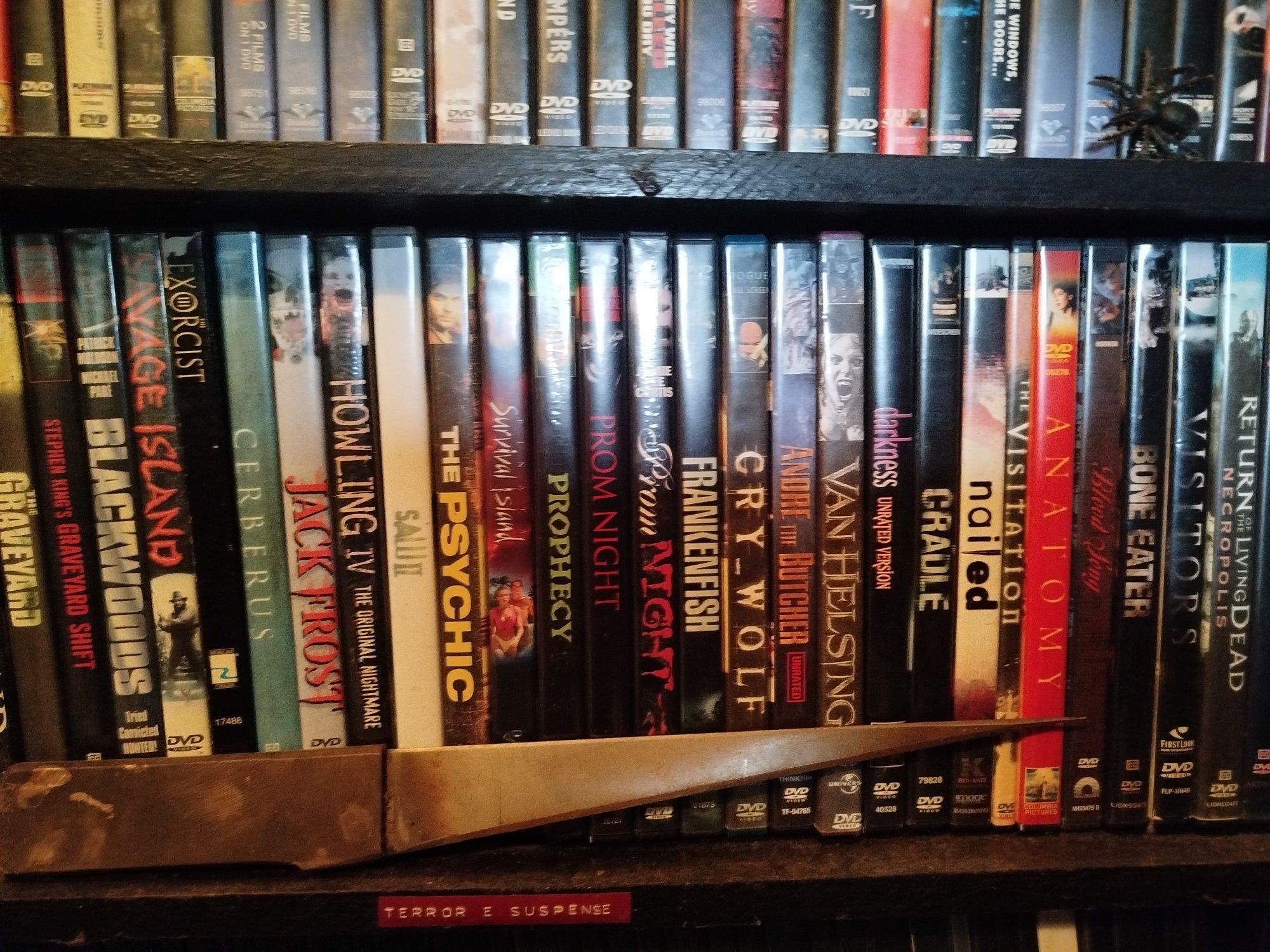 Dvd's sistema pal e nstc