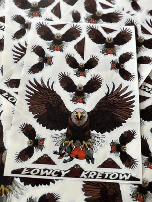 Vlepki z derbów. Śląsk Wrocław Miedź Legnica