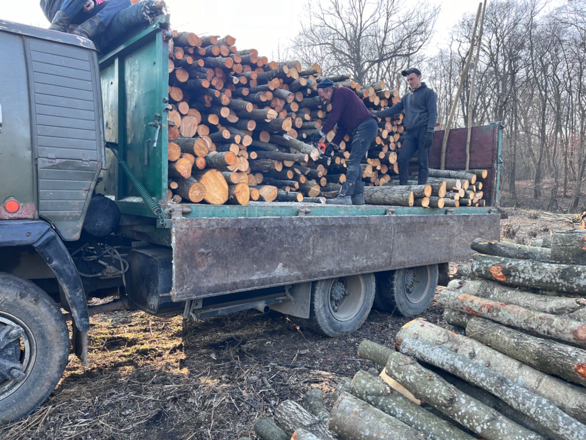 Продам Дрова дешево