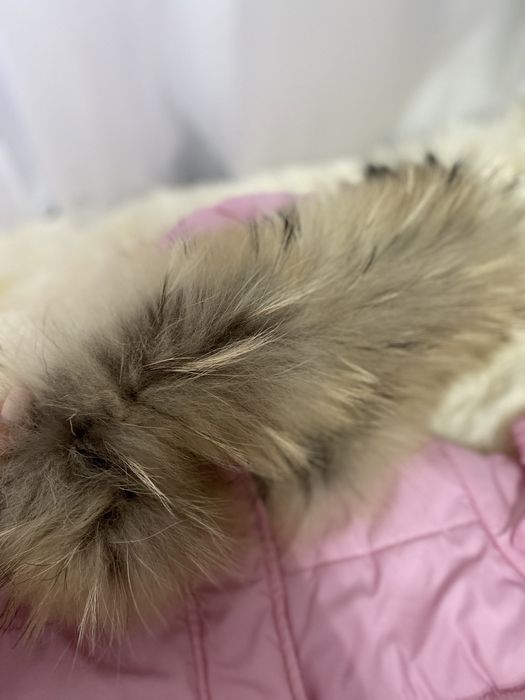 Комбінезон ( куртка +штани )