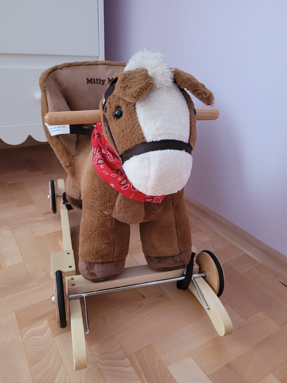 Konik na biegunach