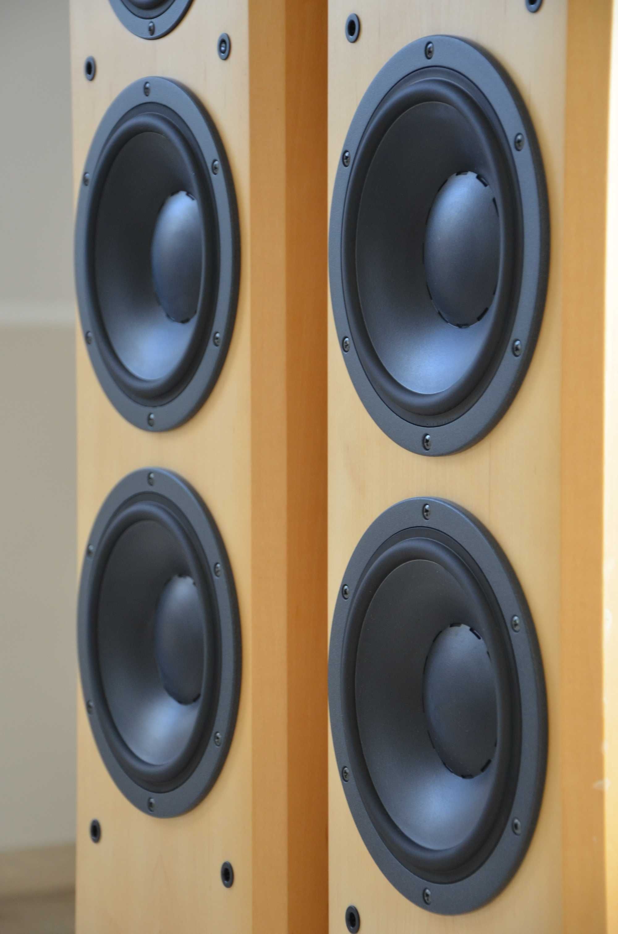 wysokiej klasy kolumny trójdrożne Dynaudio Focus 360  Esotar