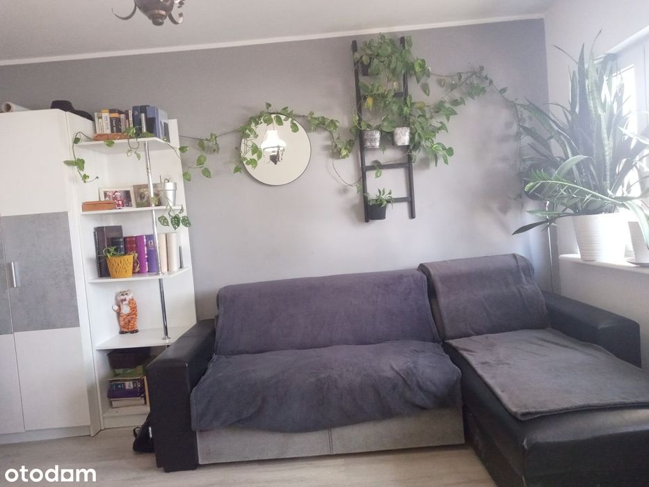 REZERWACJA - 2 pokojowe mieszkanie o powierzchni 37,2 m2