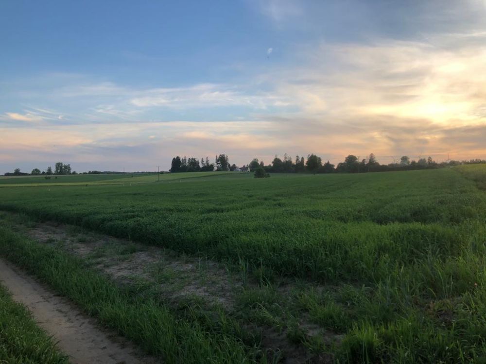 Dzialka nad morzem, Działka Łeba, okolice Łeby, dogodna lokalizacja