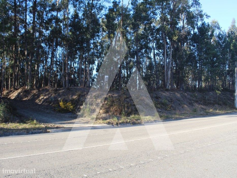 Terreno na Giesteira - Águeda!