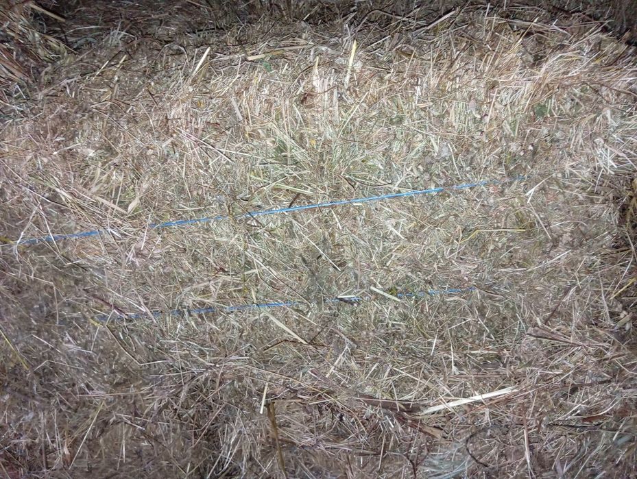 Vendo fardos de feno