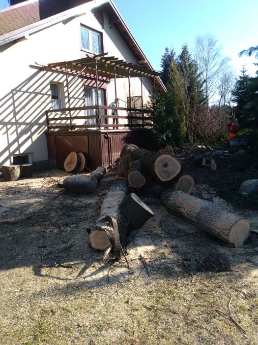 Usuwanie likwidowanie frezowanie karczowanie pni Tuszyn Rzgów Pabianic