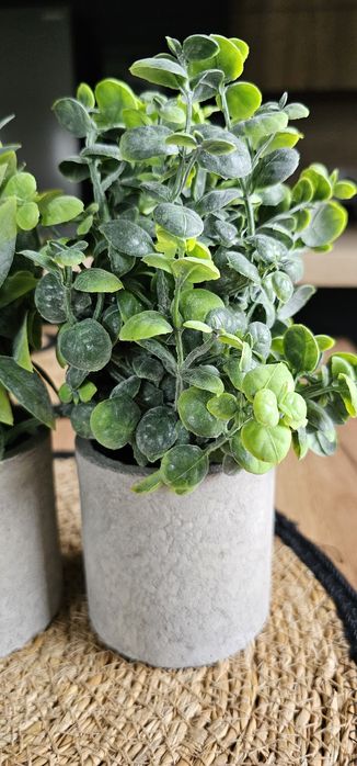 Sztuczne rośliny doniczkowe 3 szt. mini sztuczna roślina. Sweet home