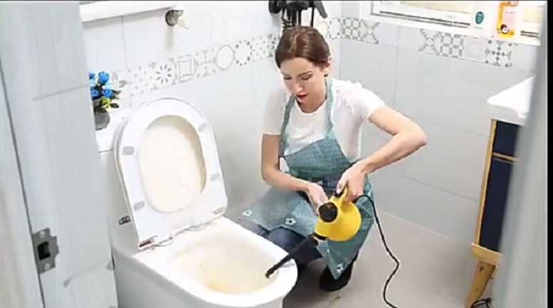 Пароочисник отпариватель  дезинфикатор  Steam Cleaner DF-A001