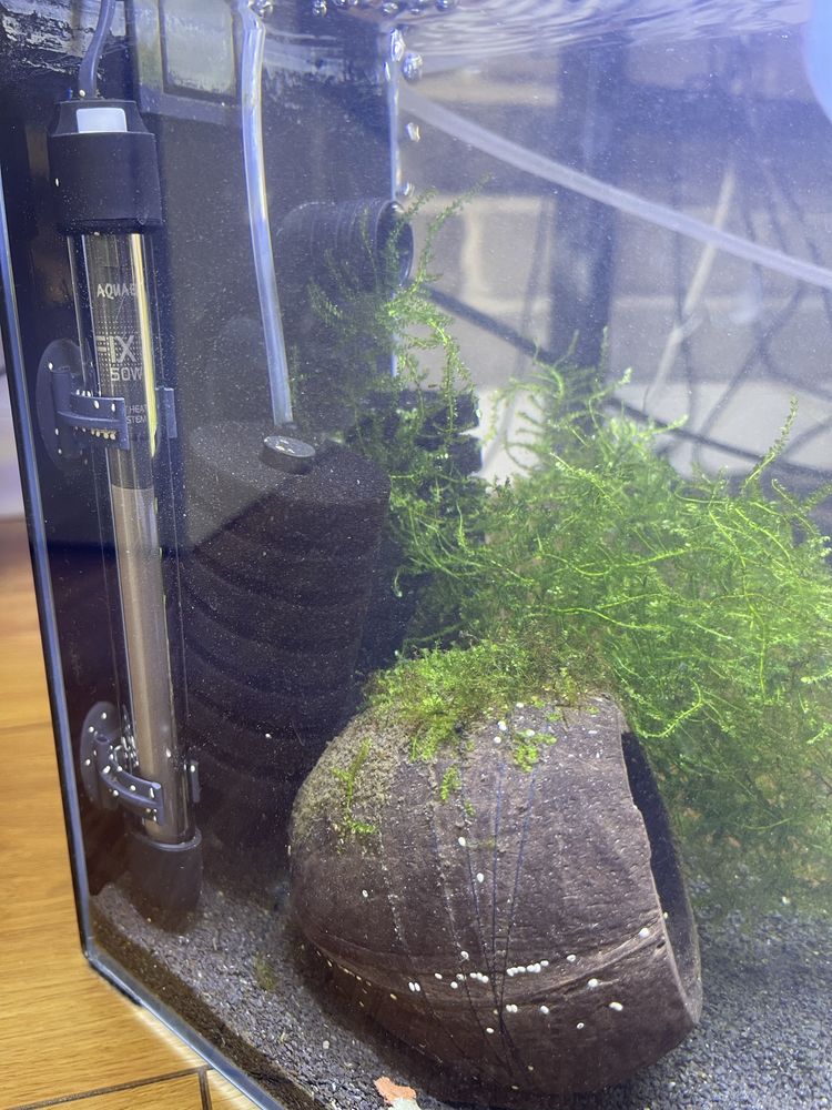 Akwarium / krewetkarium 10L AquaEl