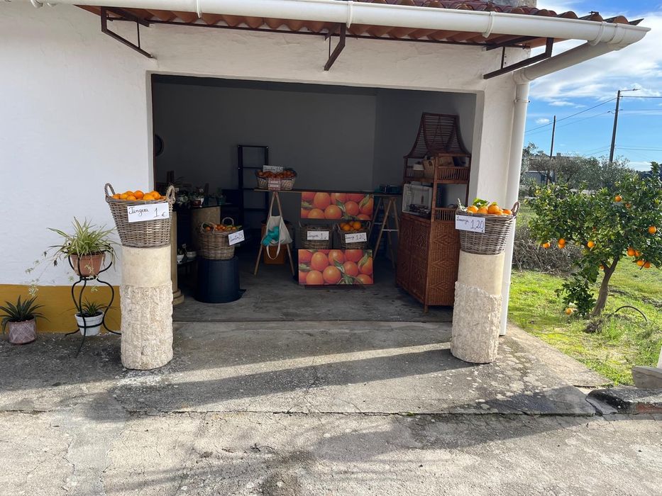 Vende-se Laranjas, Tângeras, Clementinas ( Citrinos do Produtor)