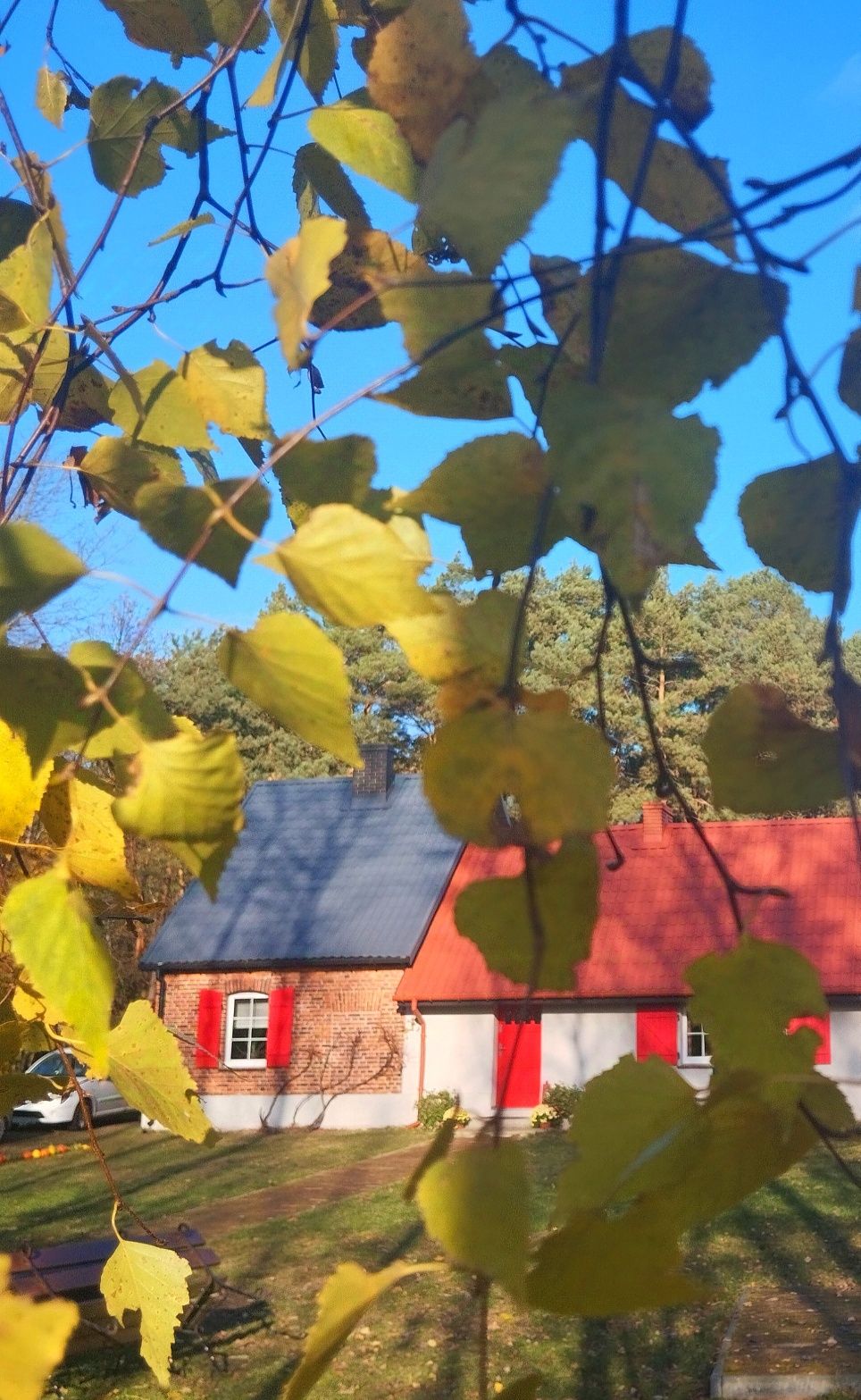 Domek wakacyjny. Dom, domek w lesie. Hetmanów koło Ostrowa Wlkp,