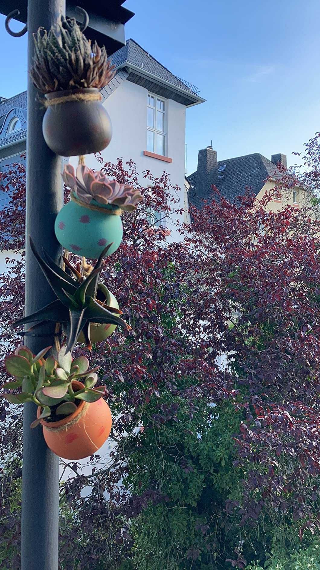 Zestaw wiszących doniczek na sznurku na taras balkon dekoracja