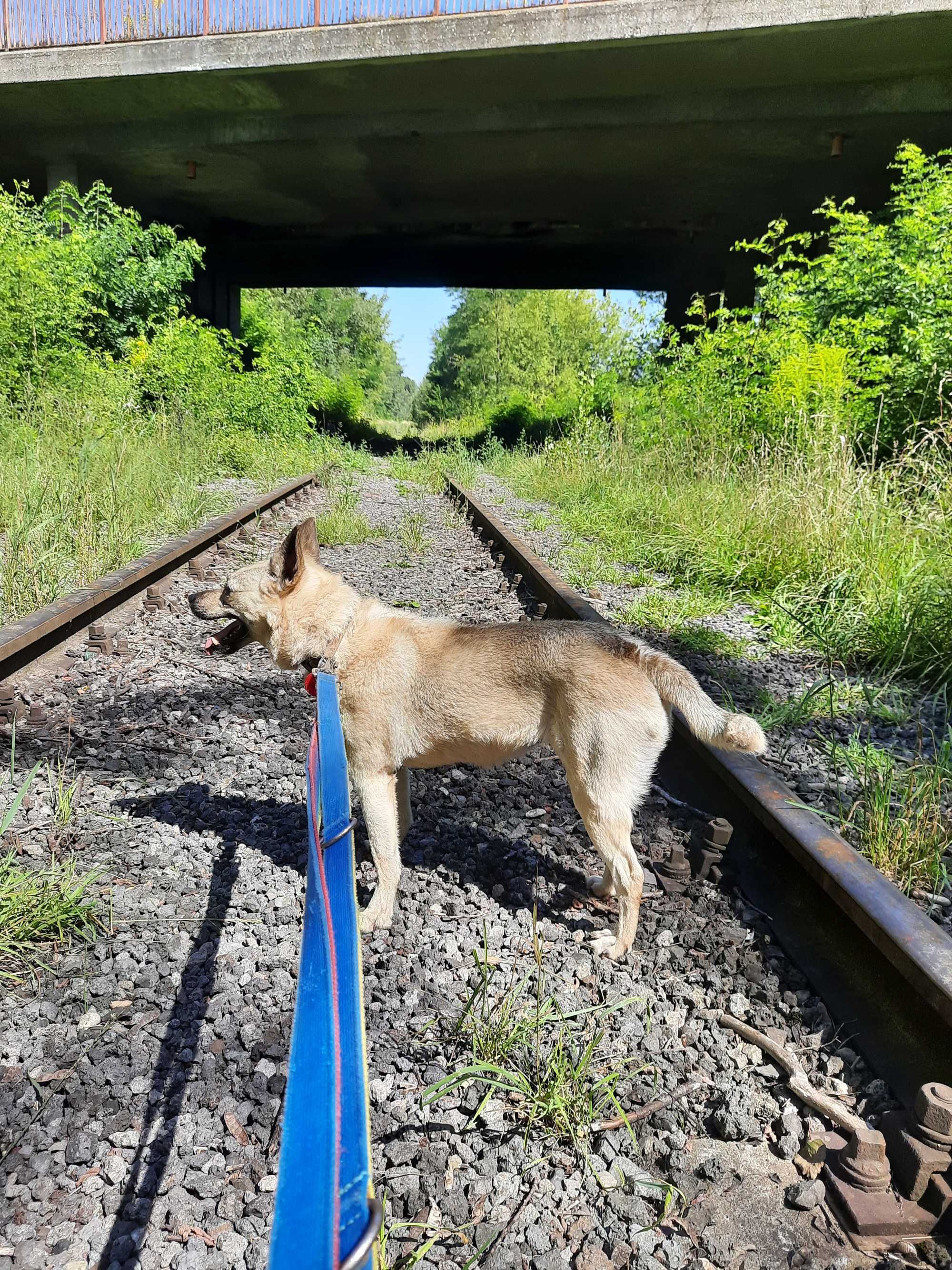 Kropka czeka na lepszy los