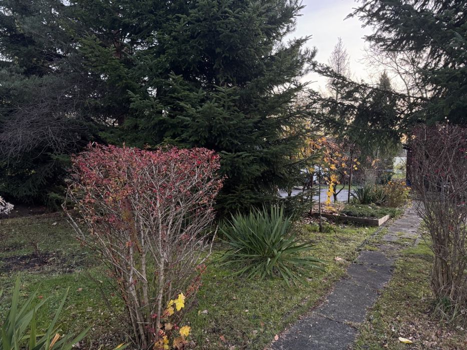 Działka w ROD „Pilczyce”