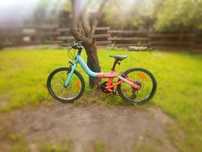 Rower rosnący ORBEA GROW 2, 20 cali