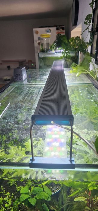 Twinstar 1200c lll para aquarios de 120cm