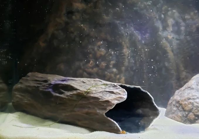 Декор для аквариума Камни, дупла