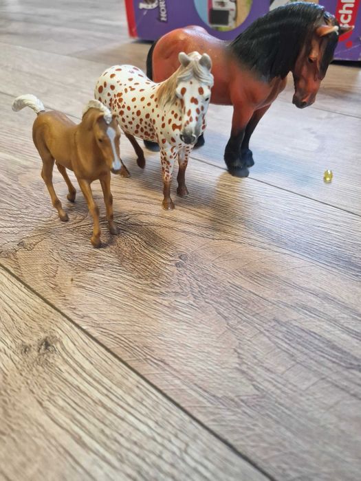 zestaw 3 koni collecta