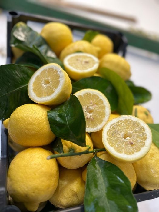 Mandarynki, pomarańcze, cytryny prosto z Włoch