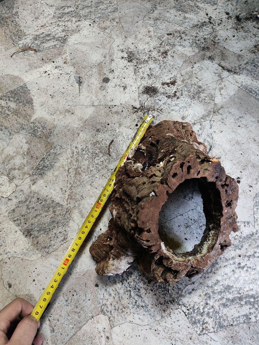 Tuby korkowe do terrarium dla pytona ptasznika gekona aranżacji