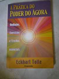 A Prática do Poder do Agora por Eckhart Tolle