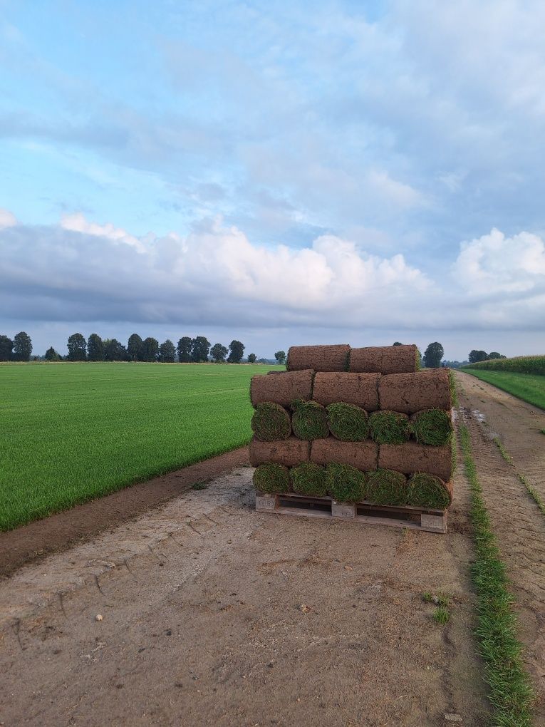 Kombajn do trawy w rolce Brouwer 1576 Do it Yourself wycinarka