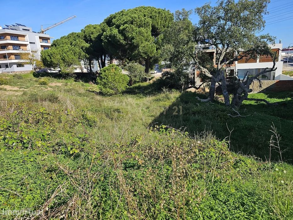 Terreno Urbano - Quinta da Amizade
