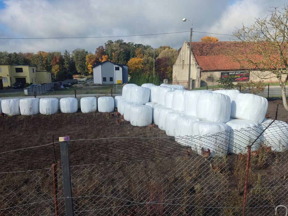 Sianokiszonka baloty 130x120