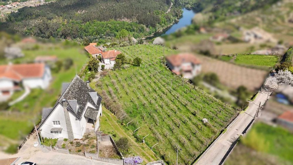 Venda de Quinta em Melgaço - c/ plantação de Alvarinho