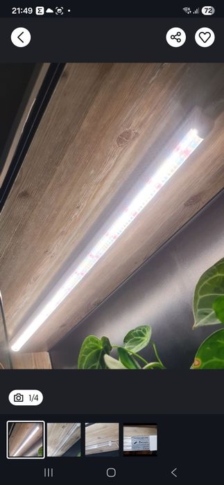 Mr. Light do roślin