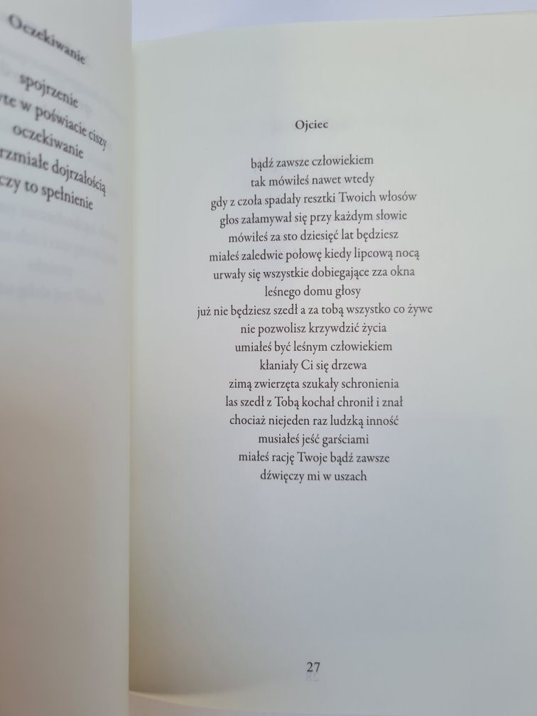 Wiersz zamiast długiej powieści - Jerzy Czesław Przybecki