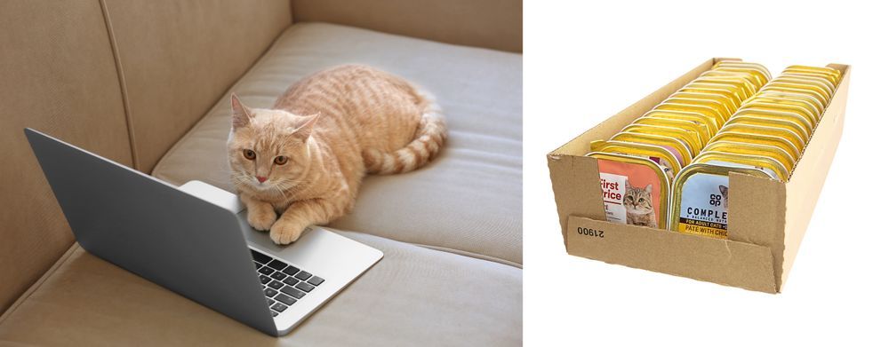 102Szt X Pasztety Tacki Dla Kota Zestaw Mix 100/85G Promo