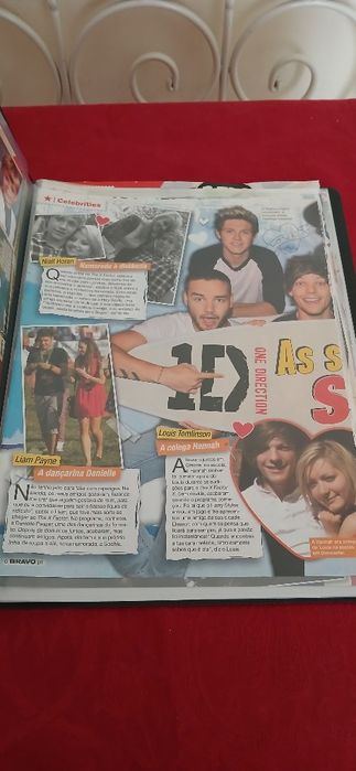 Dossier One Direction, novo