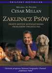 Zaklinacz psów -  Cesar Millan
