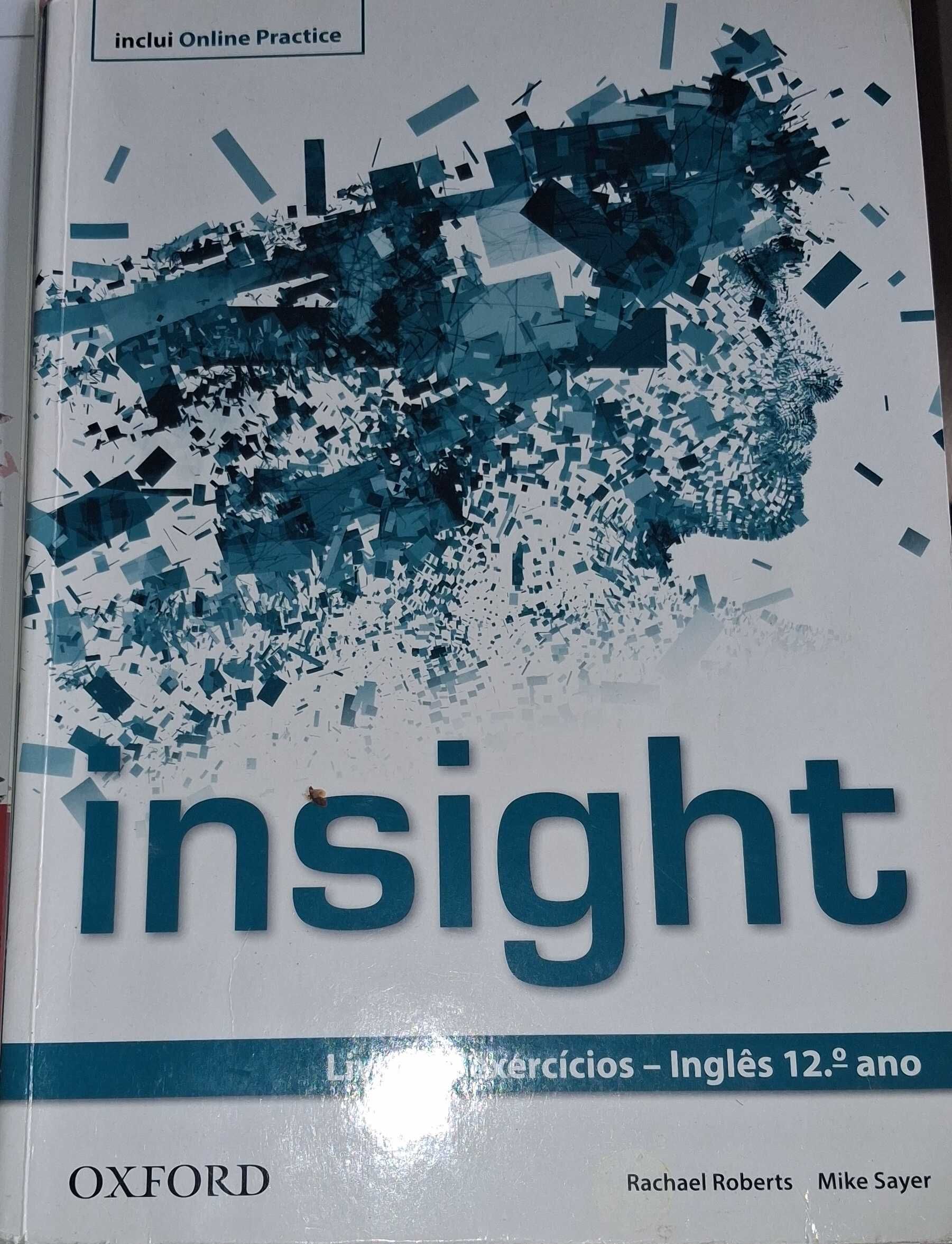 Livros fichas ingles 10, 11 e 12 ano