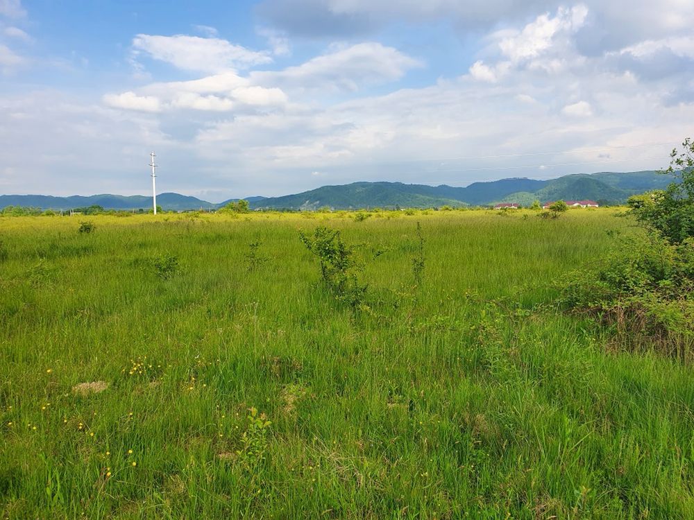 Дві земельні ділянки - 3,86 гектара в Тячівському районі Закарпаття