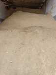 Trocina trot wiór czyste suche z pod dachu