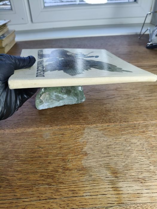 Książka dla dzieci Deszczowa muzyka ⁵⁸