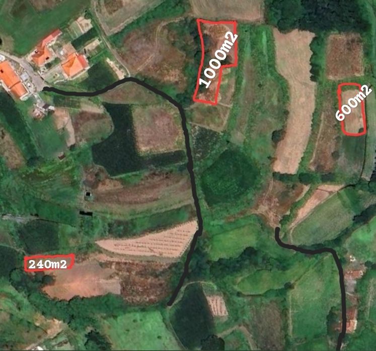 Terrenos Rústicos